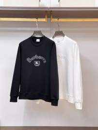Picture of Burberry Sweatshirt _SKUBurberryS-2XLtltx24431024